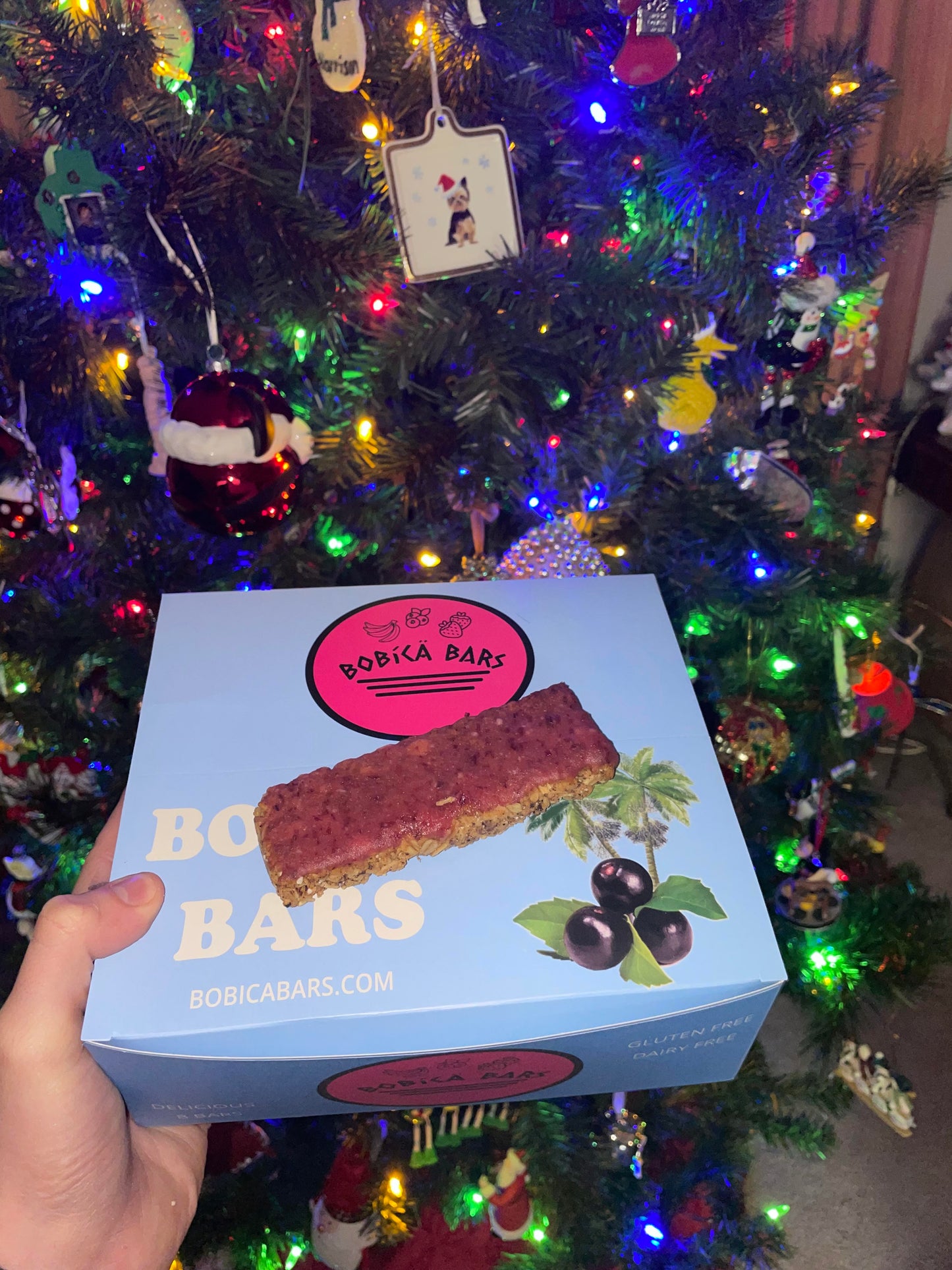 Cranberry Glazed Granola Bar